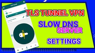 How to setup TLS tunnel vpn slow DNS server settings for Secure browsing [upl. by Igenia]