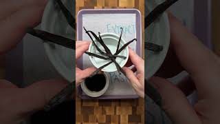 Triple Vanilla Cake  When to Use Vanilla Extract vs Beans vs Paste baking [upl. by Maurene880]