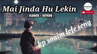 Main Zinda Hu Lekin Kaha Zindgi Hai Lofislowed  reverb kpsnaim1 [upl. by Ahtiuqal]