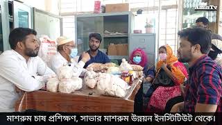 Mushroom cultivation training  Mushroom Development Institute Savar  AminTV [upl. by Rovelli438]