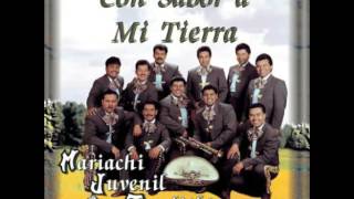 El Cascabel Mariachi Juvenil Tecalitlan [upl. by Colwell380]