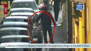 L’alleanza criminale tra albanesi e marocchini che trasportavano la droga nei boschetti di Milano [upl. by Laynad]