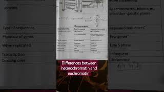 differences between heterochromatin and euchromatin region [upl. by Zorine931]