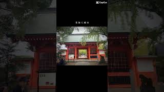 本八幡駅を出発！葛飾八幡宮まで歩く。 vlog まちあるき [upl. by Airlia413]