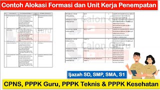 RILIS Jumlah Formasi dan Unit Kerja Penempatan CPNS PPPK Guru PPPK Teknis dan PPPK Kesehatan 2024 [upl. by Nevart]