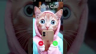 JOHN CAT 🐯 is CALLING 😂 johnycat [upl. by Nnylg]