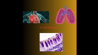 Trachea Bronchi and Bronchioles [upl. by Ntsuj]