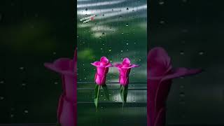 Dancing Flowers aftereffects artificialintelligenc aianimation [upl. by Chobot]