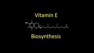 Vitamin E tocopherol Biosynthesis [upl. by Early812]