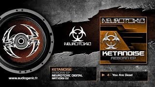 Ketanoise  4  You Are Dead Reborn Ep  NRTXDIGI 02 [upl. by Schram966]