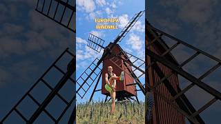 Europapa Windmill Dance 🇪🇺🇸🇪 joost joostklein europapa [upl. by Ocko]