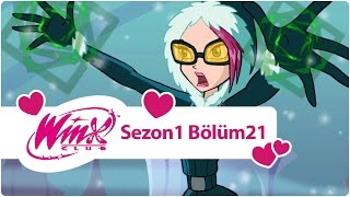 Winx Club  Sezon 1 Bölüm 21  Taç Sahibini Buluyor [upl. by Llenrup]