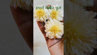 Sapna Mein Phool dekhna flowers plants gardening garden terracegarden सपने sapne music lor [upl. by Ahsenor]