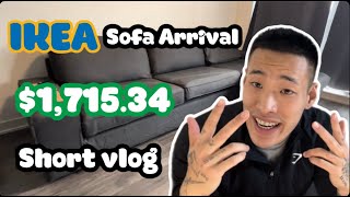 IKEA Sofa Arrival 171534 SHORT VLOG [upl. by Maren438]