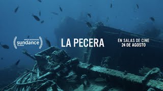 La Pecera Trailer Oficial [upl. by Corry]