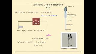 Lesson 57 Reference Electrodes [upl. by Missy]