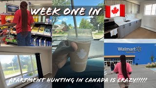 FIRST WEEK IN CANADA 🇨🇦  APARTMENT HUNTING  THE STRUGGLE [upl. by Radu762]