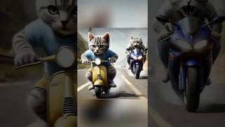 🍮Pudding Chase😡 cat kitten catvideos funny cutecat catlover [upl. by Edras]