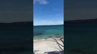 This is heaven 💙 Jervis Bay Australia 🇦🇺 brasileirosnoexterior jervisbay australia beach [upl. by Aihtebat]