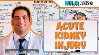 Acute Kidney Injury AKI  Etiology Pathophysiology Clinical Features Diagnosis Treatment [upl. by Nonarb]