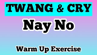 Nay No  TWANG amp VOCAL CRY 2 in 1  Vocal Warm Up Exercise [upl. by Nnaj]