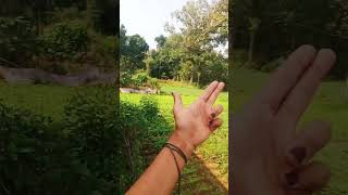 Beautiful hand short video hand hand dance [upl. by Wooster]