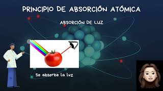 Principio De Absorción Atómica [upl. by Leaffar498]