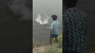 தம்பி சிங்கிள் முள்ளில் ஒரு பெரிய கெண்டையை போட்டுட்டாரு 😱😱🥱🫣😲fish5kg fishing fishingvideo [upl. by Aisereht]