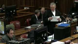 Oscar Pistorius Trial Tuesday 15 April 2014 Session 2 [upl. by Einnij87]