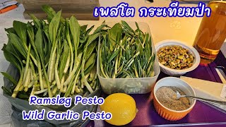 กระเทียมป่าทำอะไรกินดี วันนี้เรามาทำเพสโต้ด้วยกันค่ะ Ramsløg Pesto  Wild Garlic Pesto [upl. by Aisatal825]