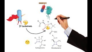 Pharmacology – ANTIBIOTICS – CELL WALL amp MEMBRANE INHIBITORS MADE EASY [upl. by Siram]