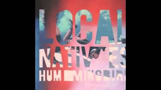 Local Natives  Mt Washington [upl. by Kira]