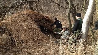 Emergency Natural Shelter Built With No Tools [upl. by Trina492]