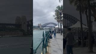 Circular Quay  Sydney Harbour Bridge  Australia 🇦🇺 shorts youtubeshorts harbourbridge [upl. by Lesirg]