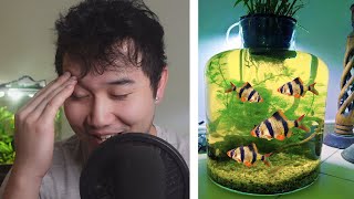 they made a Tetra Jar Ecosphere  Fish Tank Review 237 [upl. by Eislel]