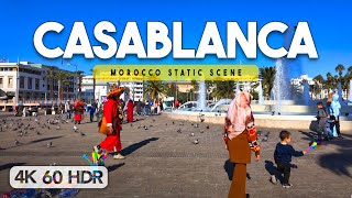 🇲🇦 Mohammed V Square  Casablanca Morocco Static Scene  4K 60FPS HDR [upl. by Brita]