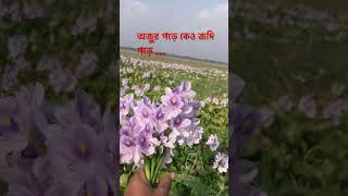 ইস্তেগফার islamicstatus ⃣ mizanurrahmanazhari islamictiktok [upl. by Minabe]