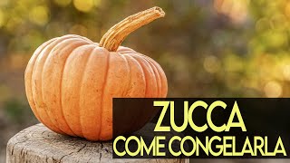 Zucca tutti i modi per congelarla [upl. by Cohette]