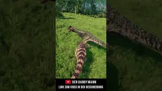 CERATOSAURUS VS CARNOTAURUS ⚔️😵 [upl. by Dadivitan31]