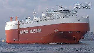 Shipspotting Japan  MV TIRRANNA 自動車船 Vehicles carrier Wallenius Wilhelmsen 2018APR [upl. by Intosh671]