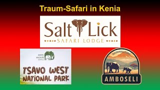 Kenia Info TraumSafari in Kenia – unvergessliche Reise durch Taita Hills Tsavo West und Amboseli [upl. by Adlee386]