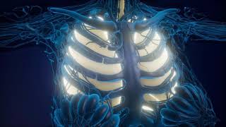 What Is Eosinophilic Asthma [upl. by Mount]