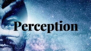 What is PERCEPTION Meaning amp Definition Explained What does PERCEPTION mean Define PERCEPTION [upl. by Manella474]