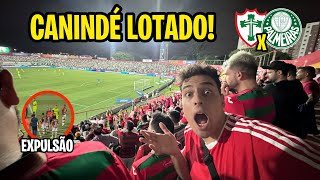 ESTÁDIO DO CANINDÉ LOTADO PRA PORTUGUESA X PALMEIRAS [upl. by Gib]