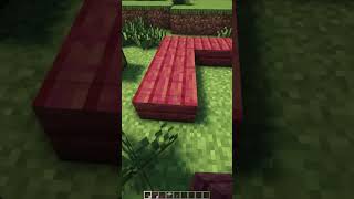 How to LEGALLY XRAY in Minecraft [upl. by Alben660]