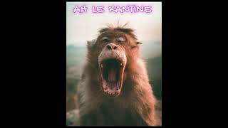 0049 LE KANTINE humour comique [upl. by Eniamert]