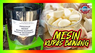 Cara Mengupas Bawang dengan cepat menggunakan MESIN PENGUPAS BAWANG OTOMATIS [upl. by Leacim]