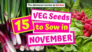 What Veg Seeds to Sow in November  Easy to Grow Veg amp Herbs for an AutumnWinter Harvest 48 [upl. by Anilet]