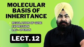 Molecular Basis of Inheritance  LECTURE 12  Complete NCERTBased Lecture  BIOLOGY ncert [upl. by Eisteb527]