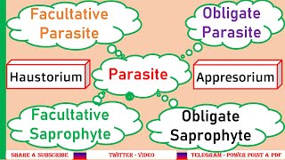 Obligate parasite Facultative parasite Obligate saprophyte Facultative saprophyteHaustoria PPP6 [upl. by Rramel]